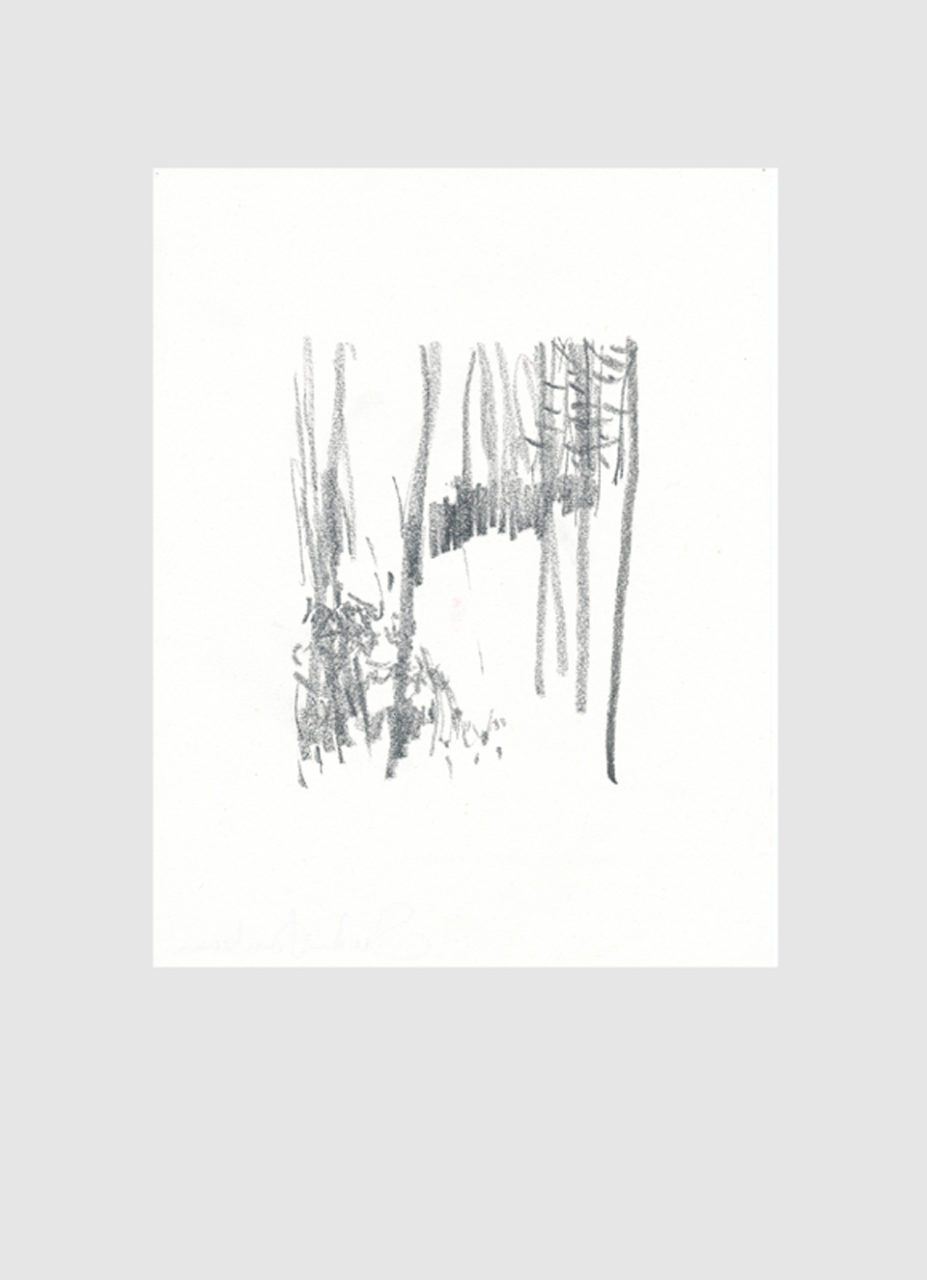 waldspaziergang_1