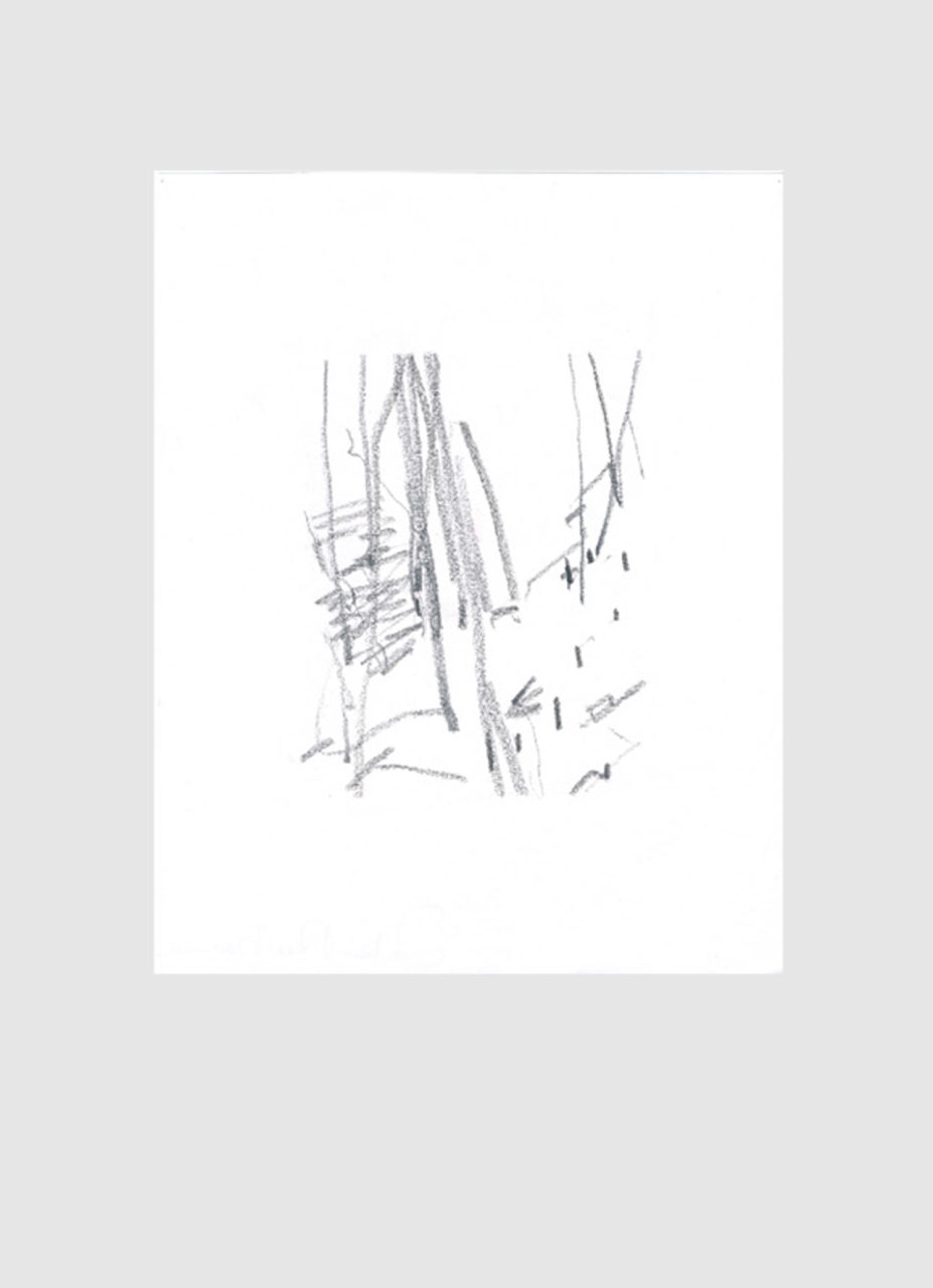 waldspaziergang_3